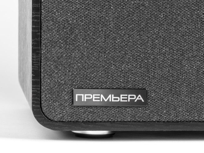 Многофункциональная активная акустическая система Premiera ES-422A 