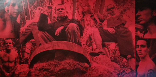 Виниловая пластинка RED HOT CHILI PEPPERS "Blood Sugar Sex Magik" (2LP) 