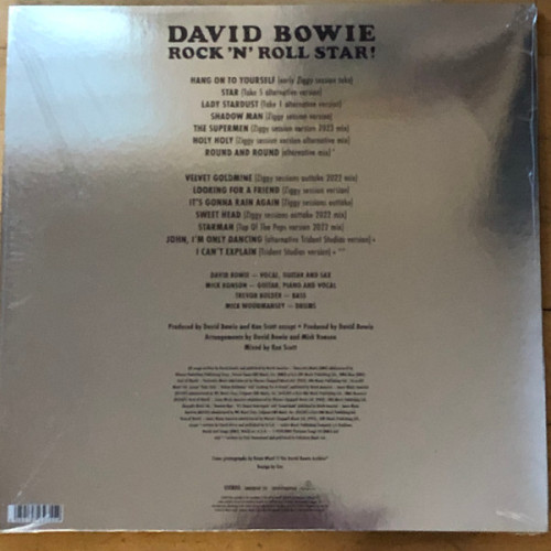 Виниловая пластинка DAVID BOWIE "Rock `N` Roll Star!" (LP) 