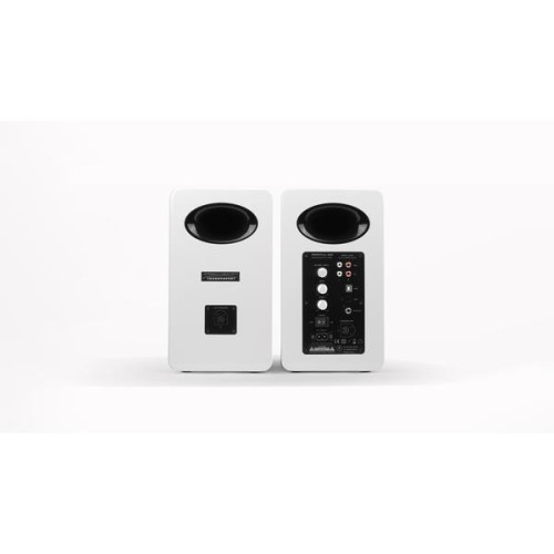Полочная акустика 2.0 с беспроводным подключением AirPulse A100