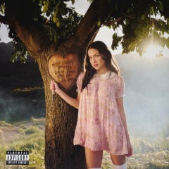 OLIVIA RODRIGO "You Seem Pretty Sad For A Girl So In Love" (LP)