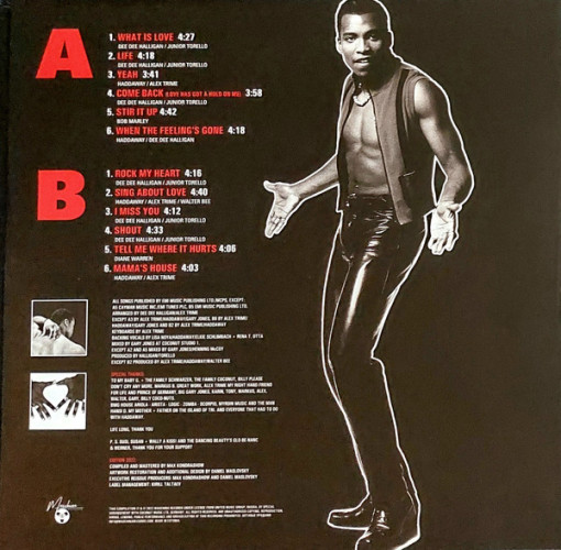 Виниловая пластинка HADDAWAY "The Album" (LP) 