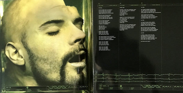 Виниловая пластинка RAMMSTEIN "Mutter" (2LP)