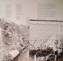 SUEDE &quot;The Blue Hour&quot; (2LP)