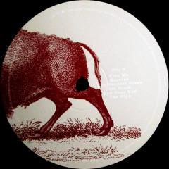 FOO FIGHTERS &quot;In Your Honor&quot; (2LP)