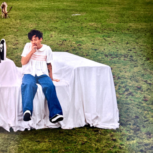 Виниловая пластинка HARRY STYLES "Harry`s House" (YELLOW LP)