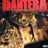 Виниловая пластинка PANTERA "The Great Southern Trendkill" (COLORED LP) 