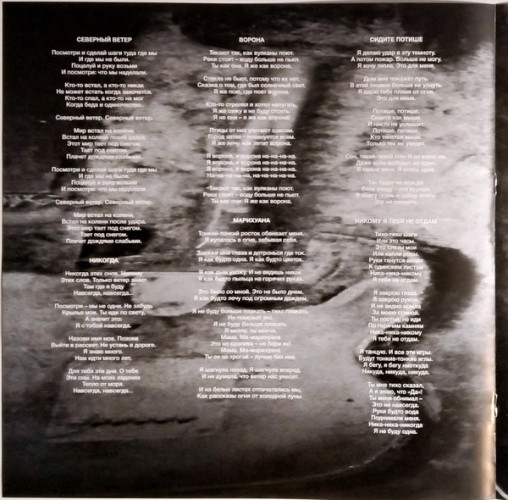 Виниловая пластинка ЛИНДА "Ворона" (2LP) 