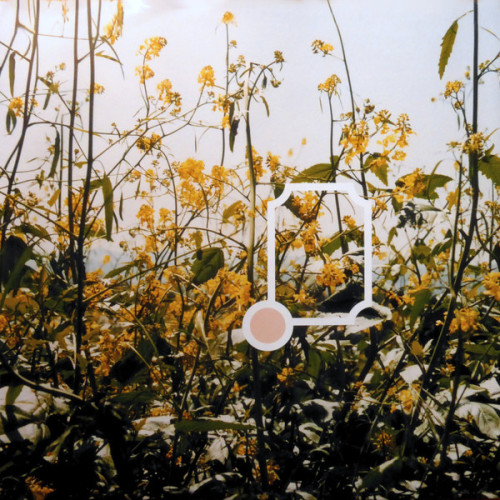 Виниловая пластинка NELLY FURTADO "Whoa, Nelly!" (2LP) 