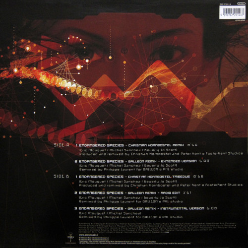 Виниловая пластинка DEEP FOREST "Endangered Species (Remixes By Christian Hornbostel And Galleon)" (VG+/VG+ LP)