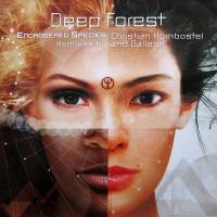 DEEP FOREST "Endangered Species (Remixes By Christian Hornbostel And Galleon)" (VG+/VG+ LP)