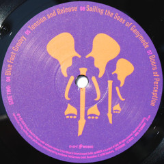 JOE SATRIANI &quot;The Elephants Of Mars&quot; (2LP)