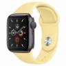 Часы Apple Watch Series 5 GPS 44mm Aluminum Case with Sport Band 