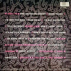 FINE YOUNG CANNIBALS &quot;The Raw &amp; The Cooked&quot; (WHITE LP)