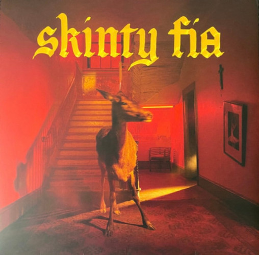 Виниловая пластинка FONTAINES D.C. "Skinty Fia" (LP) 