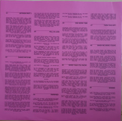 BLINK-182 &quot;One More Time...&quot; (LP)