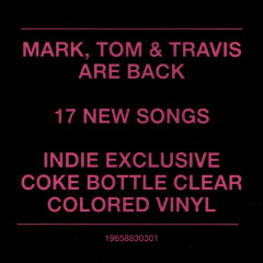 BLINK-182 "One More Time..." (CLEAR LP)