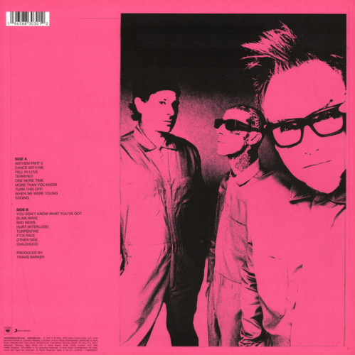 Виниловая пластинка BLINK-182 "One More Time..." (CLEAR LP)