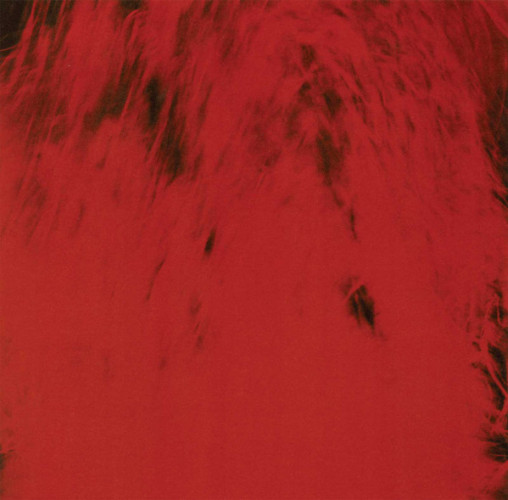 Виниловая пластинка DEAD CAN DANCE "Spiritchaser" (2LP) 