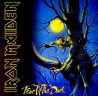 Виниловая пластинка IRON MAIDEN "Fear Of The Dark" (2LP)