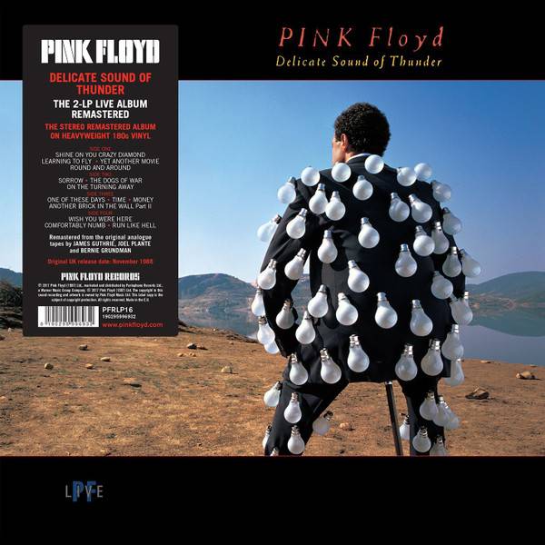 Виниловая пластинка PINK FLOYD "Delicate Sound Of Thunder" (2LP) 