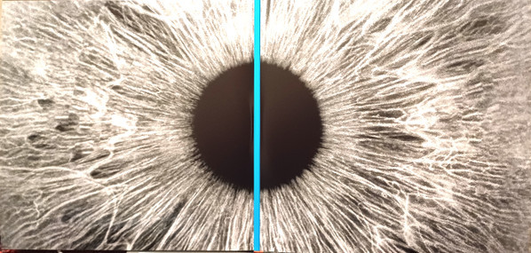 Виниловая пластинка PETER GABRIEL "I/O (Dark-Side Mixes)" (2LP) 