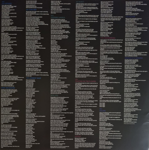 Виниловая пластинка RED HOT CHILI PEPPERS "The Getaway" (2LP)