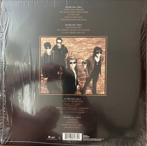 Виниловая пластинка BON JOVI "Greatest Hits" (2LP)