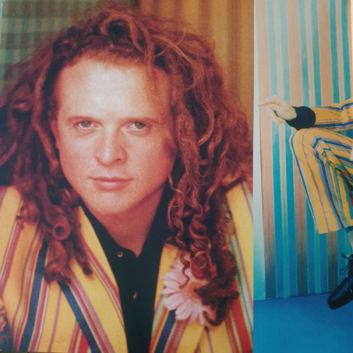 Виниловая пластинка SIMPLY RED "Stars" (LP) 