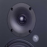 Активный студийный монитор Radiotehnika S-20M 