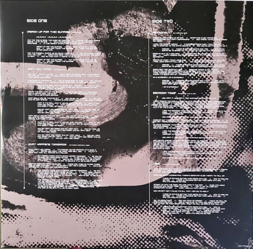 Виниловая пластинка DURAN DURAN "Astronaut" (2LP)