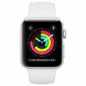 Apple Watch Series 3 38mm Aluminum Case with Sport Band 
