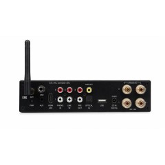 Premiera MINI AMP L