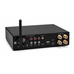 Premiera MINI AMP L
