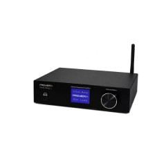 Premiera MINI AMP L