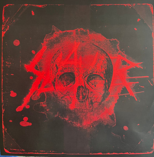 Виниловая пластинка SLAYER "World Painted Blood" (LP)