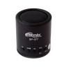 Портативная акустика Ritmix SP-077 