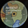 Виниловая пластинка BRIAN ENO "Ambient 1: Music For Airports" (2LP) 