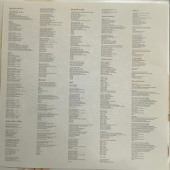 CHER "Closer To The Truth" (COLORED LP)