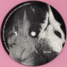Виниловая пластинка MADONNA "Confessions II" (PINK 2LP) 