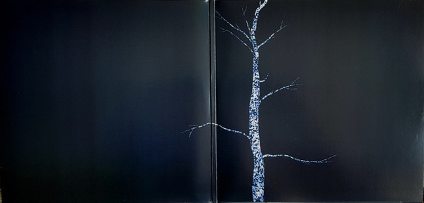 Виниловая пластинка TRENTEMOLLER "The Last Resort" (3LP)