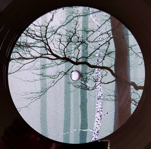 Виниловая пластинка TRENTEMOLLER "The Last Resort" (3LP)