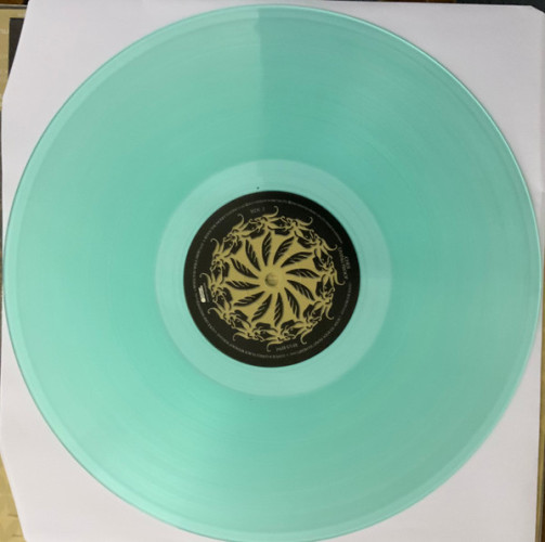 Виниловая пластинка CHER "Living Proof" (GREEN LP)