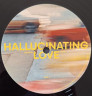 Виниловая пластинка MARIBOU STATE "Hallucinating Love" (LP)