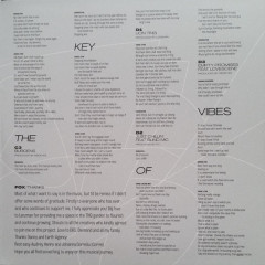 FOX "Squang Dangs In The Key Of Vibes" (COLORED 2LP)