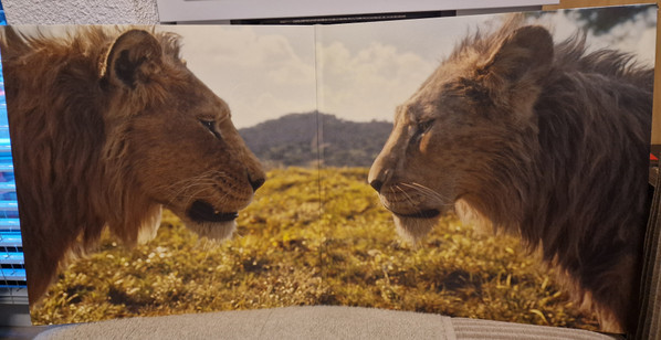 Виниловая пластинка VARIOUS ARTISTS "Mufasa: The Lion King" (COLOURED OST 2LP)