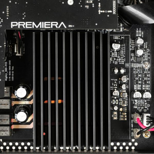 Интегральный стереоусилитель Hi-Fi Premiera D2S 