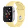 Умные часы Apple Watch Series 5 GPS 40mm Aluminum Case with Sport Band 