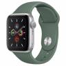 Умные часы Apple Watch Series 5 GPS 40mm Aluminum Case with Sport Band 