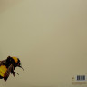 Виниловая пластинка TYLER THE CREATOR "Scum Fuck Flower Boy" (2LP)